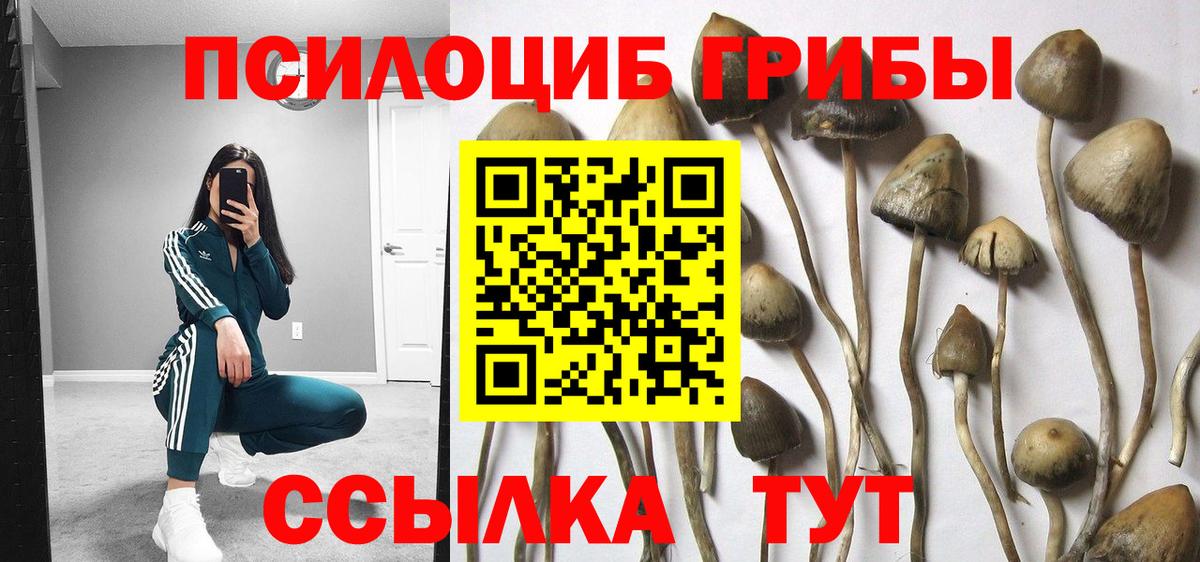 Псилоцибиновые грибы MAGIC MUSHROOMS  Вход с VPN  Красноуфимск 